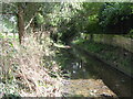 The River Ravensbourne, Shortlands Golf Course (2)