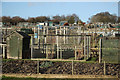 London Road allotments