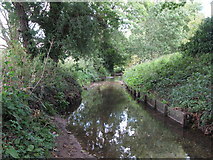 TQ3870 : The River Ravensbourne west of Calmont Road, BR1 (7) by Mike Quinn