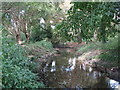 The River Ravensbourne west of Calmont Road, BR1 (8)