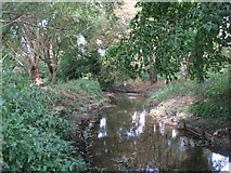 TQ3870 : The River Ravensbourne west of Calmont Road, BR1 (8) by Mike Quinn