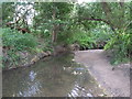 The River Ravensbourne west of Calmont Road, BR1 (12)