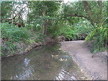 TQ3870 : The River Ravensbourne west of Calmont Road, BR1 (12) by Mike Quinn