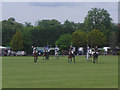 Polo match at Ham