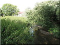 The River Ravensbourne south of Brangbourne Road, BR1 (5)