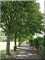 Footpath at the northern edge of the public open space south of Brangbourne Road, BR1