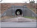 Bridge through the Tunnel