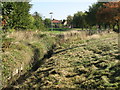 The River Ravensbourne - Downham Branch, south of Downham Way, BR1 (4)