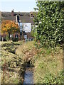 The River Ravensbourne - Downham Branch, south of Downham Way, BR1 (5)