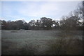 View from the railway line near Bearsted