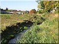 The River Ravensbourne - Downham Branch, north of Farmfield Road, BR1 (2)