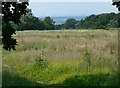 View north from Cademan Wood