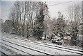 Trees by the West Coast Main Line, Abbots Langley