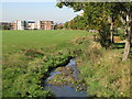 The River Ravensbourne - Downham Branch, west of Glenbow Road, BR1 (2)