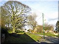 Jubilee Tree, Heddon on the Wall