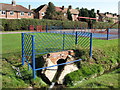 Drain into the River Ravensbourne - Downham Branch, Shaftesbury Park