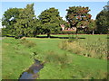 The River Ravensbourne - Downham Branch, Shaftesbury Park (8)