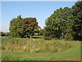 Flood control pond on the River Ravensbourne - Downham Branch, Shaftesbury Park