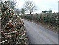 Lane to White End Park Farm