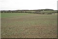 SP1859 : Distant hedge between two large fields by Robin Stott