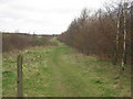 Footpath to Manston Road