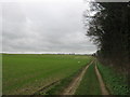 Bridleway to Woodchurch Road