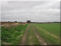 Footpath to Chapel Bottom