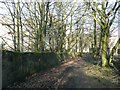 Bridleway past Ravenscliffe Mills, Calverley