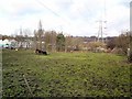 Grazing off Welkin Lane