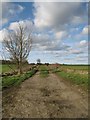 TL7049 : Track and footpath to Ganwick Farm by Bob Jones