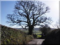 Lodge Rocks, near Roadwater