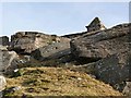 NZ0490 : Codger Fort by Oliver Dixon