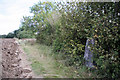 Triangulation pillar at Maple Hill