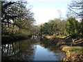 Long shadows over the canal