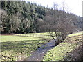 Stream, above Roadwater