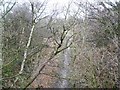 The wooded cutting of the former Midland railway line