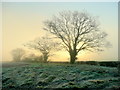 Frosty February morning