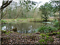 Pond, Holmwood Common