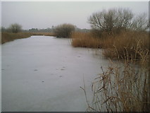 TQ2277 : Frozen lake at Wildside, London Wetland Centre by Marathon