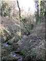 Brook, near Leighland Chapel