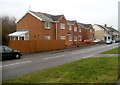 Recently-built houses, Francis Street, Thomastown