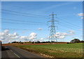 Furze Hill and a pylon