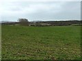 View south from footpath to Albourne Place Farm