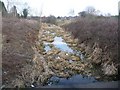 The Barnsley Canal, north of Royston Bridge