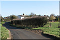 Approaching Balsham