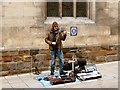 Street Busker in York