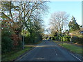 Lamppost in Glen Eyre Road