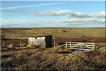 NY8848 : Shed beside fence on Halleywell Fell by Trevor Littlewood