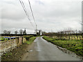 The road past White House Farm, Mundham