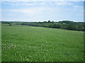 Pastures between Piltdown and Fletching